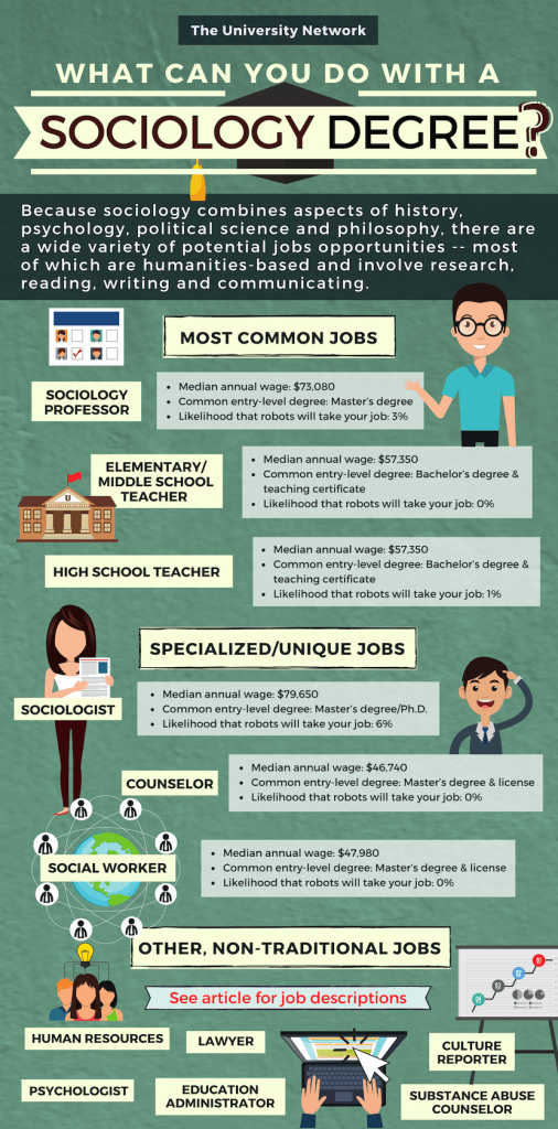 Infographic showing what you can do with a sociology degree