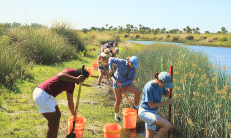 A group of students are digging with shovels and yellow buckets by a lake