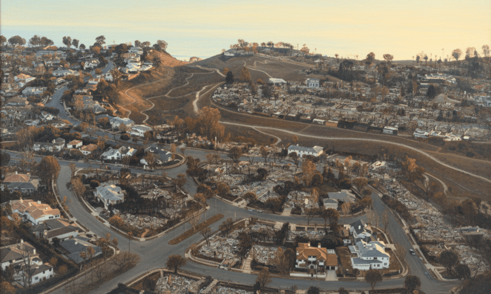 Aerial view of a large hilly area flattened by the Palisades Fire, California, n 15 January 2025. Around half the homes are reduced to rubble, while the other half still stand