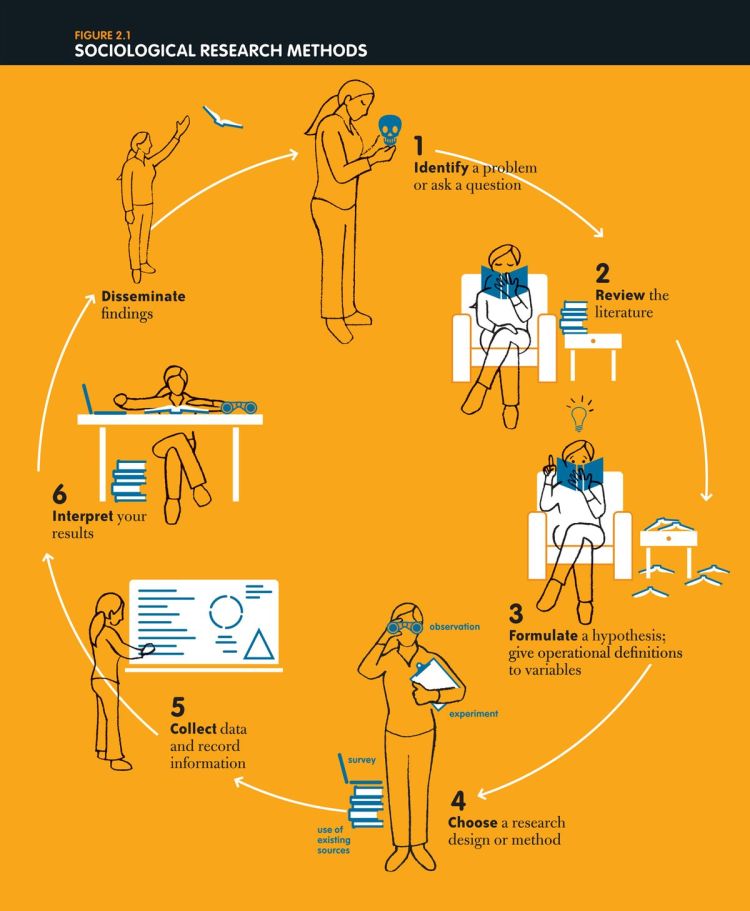 Infographic showing a woman holding books, looking through binoculars, pointing at a graph. A cycle shows the seven stages of research. 1: identify a problem. : review the literature. 3: Formulate a hypothesis. 4: Choose a research design. 5. Collect data. 6. Interpret results. 7: Disseminate findings.