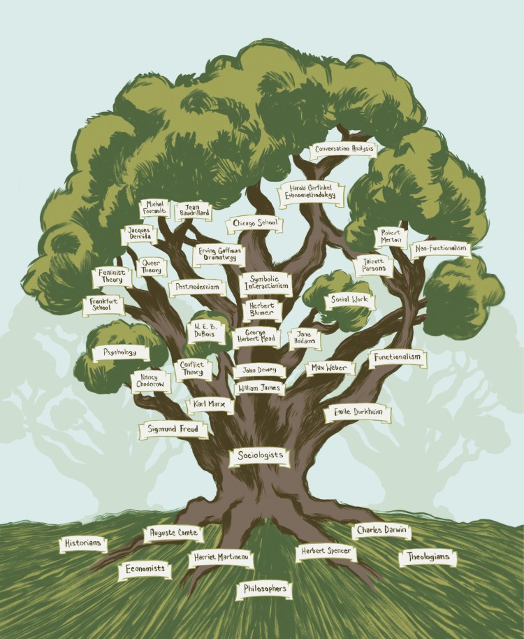 Infographic of a large tree with many name plates. At its roots are historians, economists, philosophers, and theologians, as well as Auguste Comte, Harriet Martineau, Herbert Spencer, and Charles Darwin. In the tree's branches are various theories, such as Functionalism, Conflict Theory, Feminism Symbolic Interactionism, and Postmodernism. There are various theorists, such as W. E. B. DuBois, Jane Addams, and Harold Garfinkel.